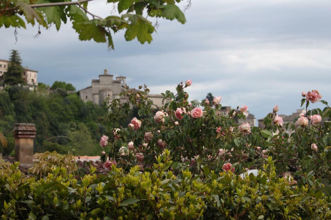 VeroliLe Coste住宿加早餐旅馆 外观 照片